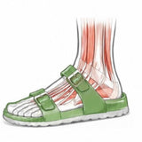 Strengthen Foot Muscles